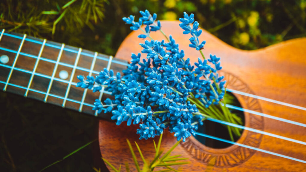 Rhythms, Harmonies, and Cadences of Life