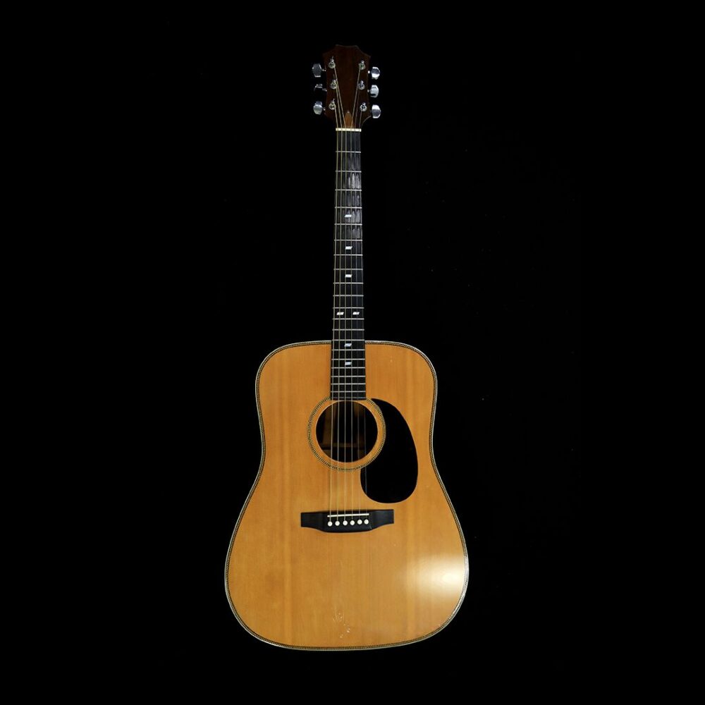 First Taylor Guitar