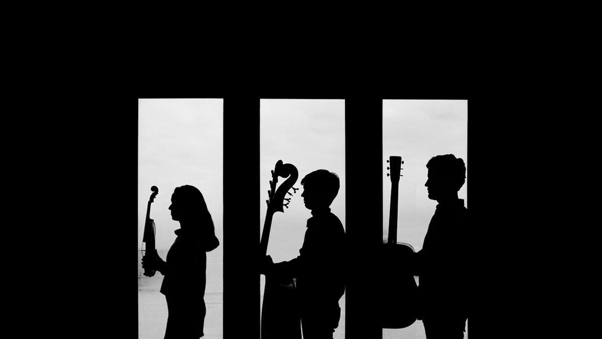 Haas Kowert Tice / Hawktail – Museum of Making Music concert